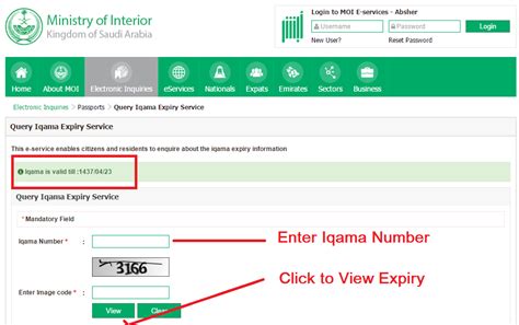 check expiry date online.